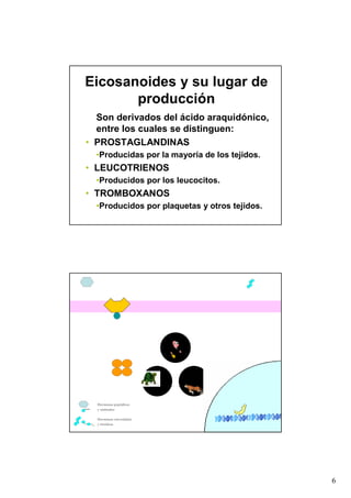Eicosanoides y su lugar de
       producción
  Son derivados del ácido araquidónico,
  entre los cuales se distinguen:
• PROSTAGLANDINAS
  •Producidas por la mayoría de los tejidos.
• LEUCOTRIENOS
  •Producidos por los leucocitos.
• TROMBOXANOS
  •Producidos por plaquetas y otros tejidos.




  Hormonas peptídicas
  y aminadas

  Hormonas esteroidales
  y tiroídeas




                                               6
 