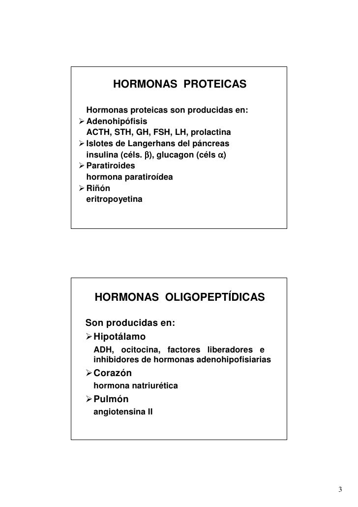 Bios ntesis y funci n biol gica