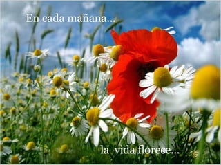 En cada mañana...




              la vida florece...
 