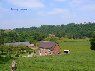 Bocage Normand 