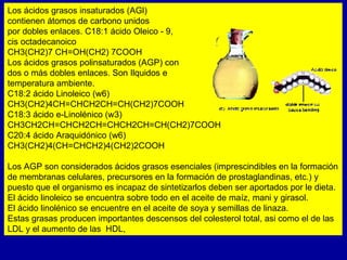 Carbohidratos, Lipidos, Proteinas y Enzimas | PPT