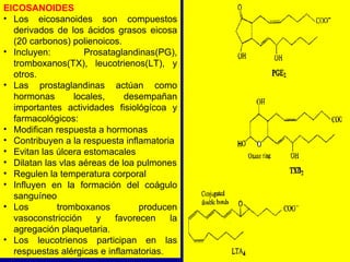 <ul><li>EICOSANOIDES </li></ul><ul><li>Los eicosanoides son compuestos derivados de los ácidos grasos eicosa (20 carbonos)...