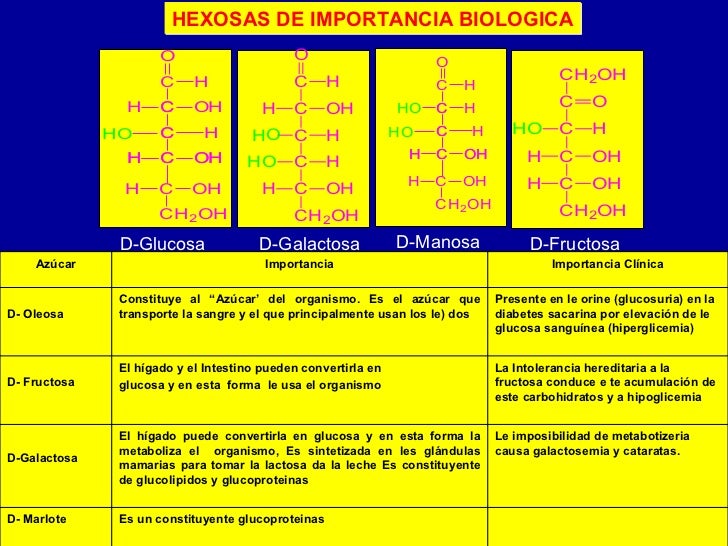 Resultado de imagen para CARBOHIDRATOS LIPIDOS Y PROTEINAS ACIDOS NUCLEICOS