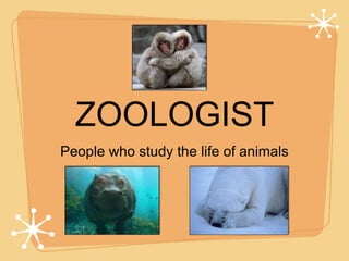ZOOLOGIST People who study the life of animals  