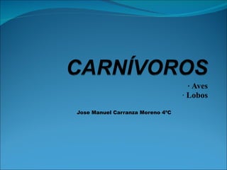 ·   Aves ·  Lobos Jose Manuel Carranza Moreno 4ºC  