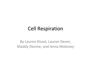 Cell Respiration By Lauren Kissel, Lauren Dever, Maddy Devine, and Anna Moloney 
