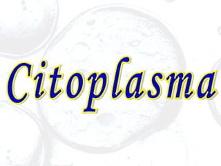 Citoplasma 