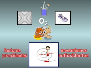 mecanismos antioxidantes prooxidantes factores O 2 