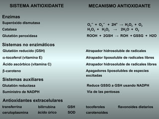 SISTEMA ANTIOXIDANTE Superóxido dismutasa  O 2 · -   +  O 2 · -   +  2H +   ->  H 2 O 2   +  O 2 MECANISMO ANTIOXIDANTE Enzimas Catalasa  H 2 O 2   +  H 2 O 2   ->  2H 2 O  +  O 2 Glutatión peroxidasa  ROOH  +  2GSH  ->  ROH  + GSSG  +  H2O Sistemas no enzimáticos  -tocoferol (vitamina E) Atrapador liposoluble de radicales libres Ácido ascórbico (vitamina C) Atrapador hidrosoluble de radicales libres  -caroteno Apagadores liposolubles de especies Glutatión reducido (GSH)  Atrapador hidrosoluble de radicales  Sistemas auxiliares Glutatión reductasa Reduce GSSG a GSH usando NADPH Suministro de NADPH Vía de las pentosas Antioxidantes extracelulares transferrina ceruloplasmina bilirrubina ácido úrico GSH SOD tocoferoles carotenoides flavonoides dietarios  excitadas 