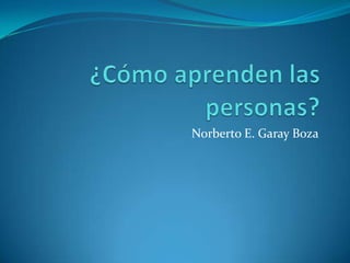 ¿Cómo aprenden las personas? Norberto E. Garay Boza 