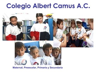 Colegio Albert Camus A.C . Maternal, Preescolar, Primaria y Secundaria  
