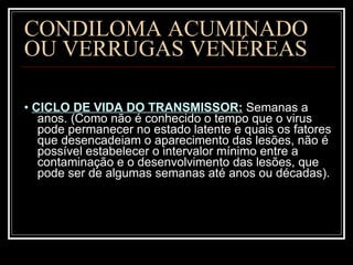 CONDILOMA ACUMINADO  OU VERRUGAS VENÉREAS •  CICLO DE VIDA DO TRANSMISSOR:  Semanas a anos. (Como não é conhecido o tempo que o virus pode permanecer no estado latente e quais os fatores que desencadeiam o aparecimento das lesões, não é possível estabelecer o intervalor mínimo entre a contaminação e o desenvolvimento das lesões, que pode ser de algumas semanas até anos ou décadas). 