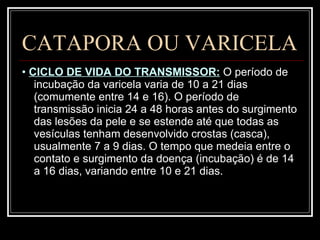 CATAPORA OU VARICELA •  CICLO DE VIDA DO TRANSMISSOR:   O período de incubação da varicela varia de 10 a 21 dias (comumente entre 14 e 16). O período de transmissão inicia 24 a 48 horas antes do surgimento das lesões da pele e se estende até que todas as vesículas tenham desenvolvido crostas (casca), usualmente 7 a 9 dias. O tempo que medeia entre o contato e surgimento da doença (incubação) é de 14 a 16 dias, variando entre 10 e 21 dias.  