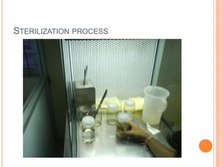 Sterilization process<br />