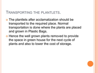 Transporting the plantlets.<br />The plantlets after acclamatization should be transported to the required place. Normal t...