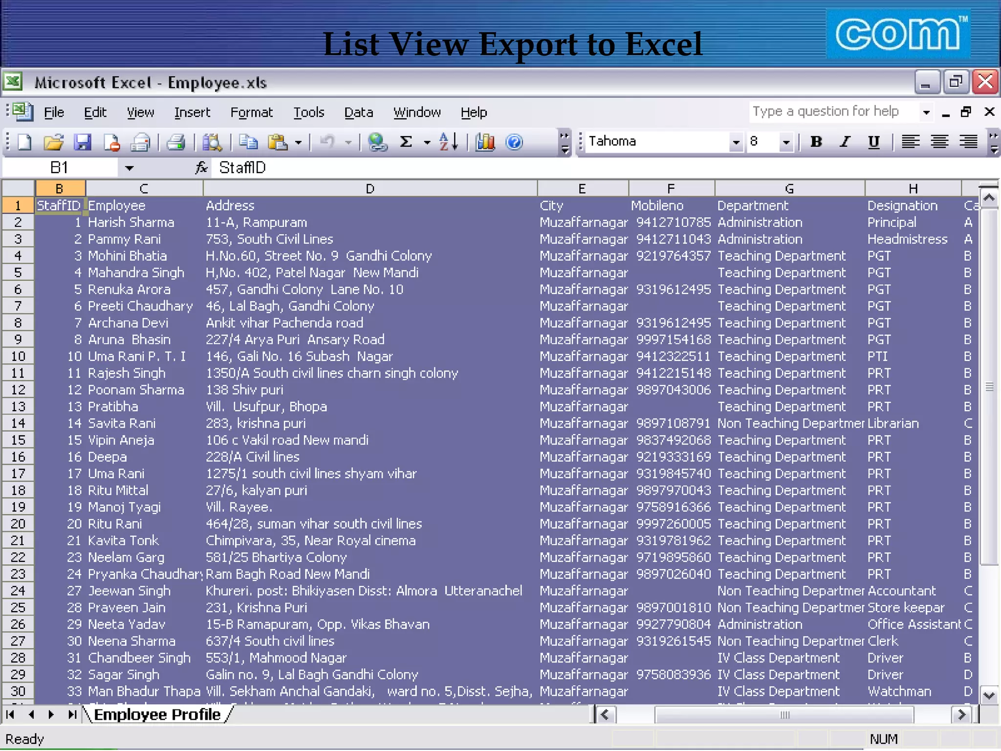 Characteristic of Com Automation  List View Export to Excel 