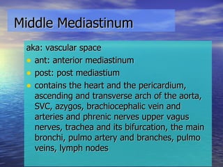 Middle Mediastinum aka: vascular space ant: anterior mediastinum post: post mediastium contains the heart and the pericardium, ascending and transverse arch of the aorta, SVC, azygos, brachiocephalic vein and arteries and phrenic nerves upper vagus nerves, trachea and its bifurcation, the main bronchi, pulmo artery and branches, pulmo veins, lymph nodes 