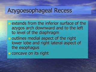 Azygoesophageal Recess extends from the inferior surface of the azygos arch downward and to the left to level of the diaphragm outlines medial aspect of the right lower lobe and right lateral aspect of the esophagus concave on its right 
