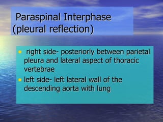 Paraspinal Interphase (pleural reflection) right side- posteriorly between parietal pleura and lateral aspect of thoracic vertebrae left side- left lateral wall of the descending aorta with lung 