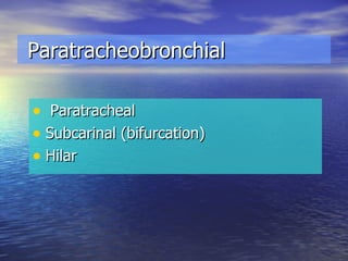 Paratracheobronchial Paratracheal Subcarinal (bifurcation) Hilar 