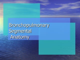 Bronchopulmonary  Segmental  Anatomy 
