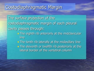 The surface projection of the costodiaphragmatic margin of each pleural cavity passes through: The eighth rib anteriorly at the midclavicular line The tenth rib laterally at the midaxillary line The eleventh or twelfth rib posteriorly at the lateral border of the vertebral column Costodiaphragmatic Margin 