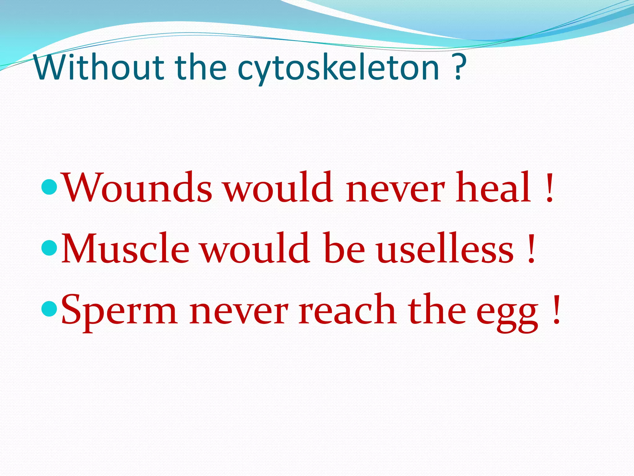 Without the cytoskeleton ?


Wounds would never heal !
Muscle would be uselless !
Sperm never reach the egg !
 