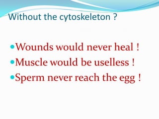Without the cytoskeleton ?


Wounds would never heal !
Muscle would be uselless !
Sperm never reach the egg !
 