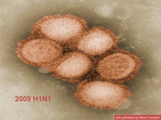 2009 H1N1 Info gathered by Mona Youssef 
