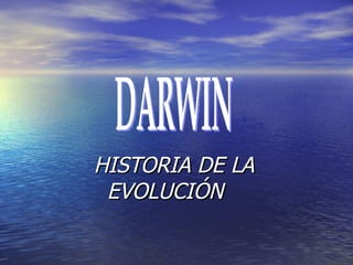 [object Object],DARWIN 