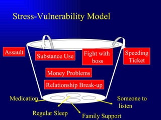 Stress-Vulnerability Model Money Problems Relationship Break-up Assault Substance Use Fight with  boss Speeding Ticket Medication Family Support Someone to listen Regular Sleep 