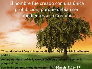 El hombre fue creado con una única prohibición, porque debían ser obedientes a su Creador“Y mandó Jehová Dios al hombre, diciendo: De  todo árbol del huerto podráscomer; mas del árbol de la ciencia del bien y del mal no comerás; porque el díaque de él comieres, ciertamente morirás.”  Génesis 2.16-17