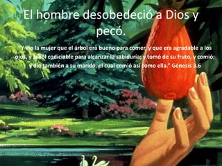 El hombre desobedeció a Dios y pecó.“Y vio la mujer que el árbol era bueno para comer, y que era agradable a losojos, y árbol codiciable para alcanzar la sabiduría; y tomó de su fruto, y comió;y dio también a su marido, el cual comió así como ella.” Génesis 3.6