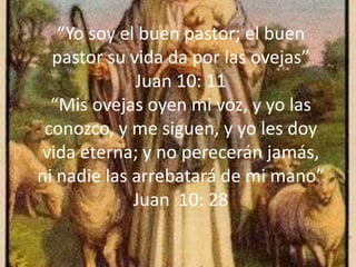 “Yo soy el buen pastor; el buen pastor su vida da por las ovejas” Juan 10: 11 “Mis ovejas oyen mi voz, y yo las conozco, y me siguen, y yo les doy vida eterna; y no perecerán jamás, ni nadie las arrebatará de mi mano” Juan  10: 28