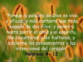 “Porque la palabra de Dios es viva y eficaz, y más cortante que toda espada de dos filos; y penetra hasta partir el alma y el espíritu, las coyunturas y los tuétanos, y discierne los pensamientos y las intenciones del corazón” Hebreos 4: 12