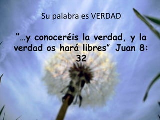 Su palabra es VERDAD“…y conoceréis la verdad, y la verdad os hará libres”  Juan 8: 32
