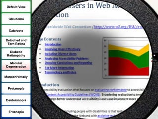 Robust Vision DisabilityBlindness