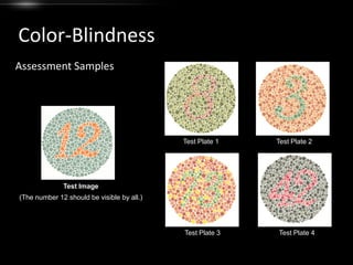 SeizureBlindnessLet’s experience it!What are the challenges?