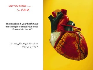 The muscles in your heart have the strength to shoot your blood 10 meters in the air? DID YOU KNOW ….. عضلات قلبك لديها قوة تكفي لقذف الدم عشرة أمتار في الهواء هل تعلم أن  ... ؟ 