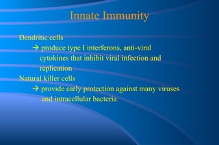 Innate Immunity Dendritic cells    produce type I interferons, anti-viral    cytokines that inhibit viral infection and    replication Natural killer cells    provide early protection against many viruses  and intracellular bacteria 