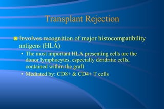 Transplant Rejection ◙  Involves recognition of major histocompatibility antigens (HLA) The most important HLA presenting cells are the donor lymphocytes, especially dendritic cells, contained within the graft Mediated by: CD8+ & CD4+ T cells  