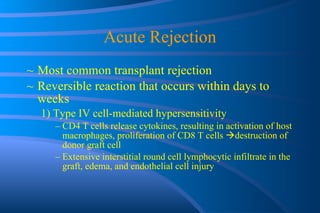 Acute Rejection Most common transplant rejection Reversible reaction that occurs within days to weeks 1) Type IV cell-mediated hypersensitivity CD4 T cells release cytokines, resulting in activation of host macrophages, proliferation of CD8 T cells   destruction of donor graft cell Extensive interstitial round cell lymphocytic infiltrate in the graft, edema, and endothelial cell injury 