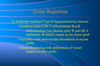 Acute Rejection 2) Antibody-mediated Type II hypersensitivity reaction - Cytokines from CD4 T cells promote B-cell  differentiation into plasma cells    anti-HLA  antibodies    attack vessels in the donor graft - Vasculitis with intravascular thrombosis in recent  grafts - Intimal thickening with obliteration of vessel  lumens in older grafts 
