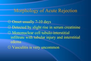 Morphology of Acute Rejection ۞   Onset usually 7-10 days ۞   Detected by slight rise in serum creatinine ۞   Mononuclear cell tubulo-interstitial infiltrate with tubular injury and interstitial edema ۞   Vasculitis is very uncommon 