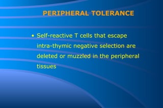 PERIPHERAL TOLERANCE Self-reactive T cells that escape  intra-thymic negative selection are  deleted or muzzled in the peripheral tissues 
