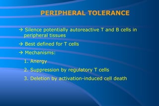 PERIPHERAL TOLERANCE    Silence potentially autoreactive T and B cells in peripheral tissues    Best defined for T cells    Mechanisms: 1. Anergy 2. Suppression by regulatory T cells 3. Deletion by activation-induced cell death 