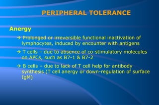 PERIPHERAL TOLERANCE Anergy    Prolonged or irreversible functional inactivation of lymphocytes, induced by encounter with antigens    T cells – due to absence of co-stimulatory molecules on APCs, such as B7-1 & B7-2    B cells – due to lack of T cell help for antibody synthesis (T cell anergy or down-regulation of surface IgM) 