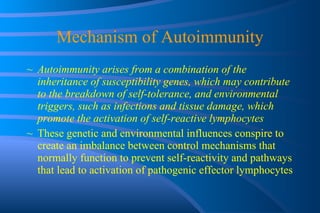 Mechanism of Autoimmunity Autoimmunity arises from a combination of the inheritance of susceptibility genes, which may contribute to the breakdown of self-tolerance, and environmental triggers, such as infections and tissue damage, which promote the activation of self-reactive lymphocytes These genetic and environmental influences conspire to create an imbalance between control mechanisms that normally function to prevent self-reactivity and pathways that lead to activation of pathogenic effector lymphocytes 