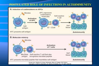 POSTULATED ROLE OF INFECTIONS IN AUTOIMMUNITY 