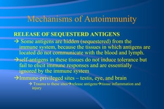 Mechanisms of Autoimmunity RELEASE OF SEQUESTERD ANTIGENS    Some antigens are hidden (sequestered) from the immune system, because the tissues in which antigens are located do not communicate with the blood and lymph. self-antigens in these tissues do not induce tolerance but fail to elicit immune responses and are essentially ignored by the immune system Immune-privileged sites – testis, eye, and brain Trauma to these sites  release antigens  tissue inflammation and injury 